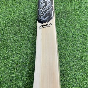 Athic Dragon Player Edition